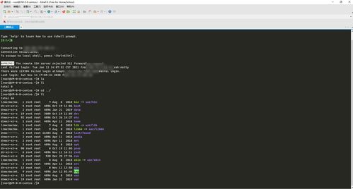 大學四年，我電腦上那些不可或缺的開發軟件